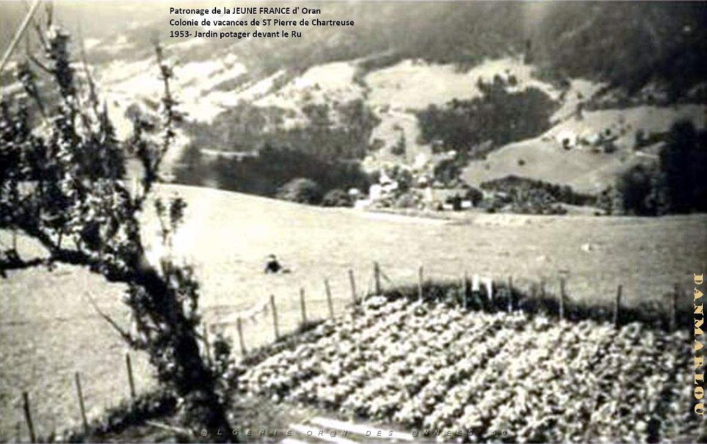 COLO JEUNE FRANCE 1953 jardin potager devant le Ru.jpg